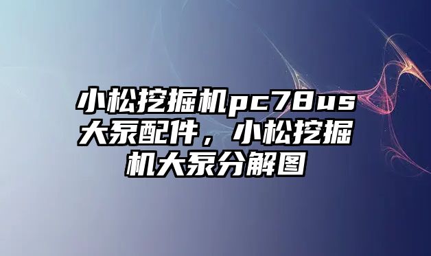 小松挖掘機pc78us大泵配件，小松挖掘機大泵分解圖