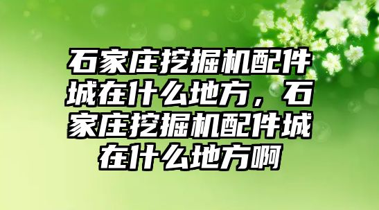 石家莊挖掘機配件城在什么地方，石家莊挖掘機配件城在什么地方啊