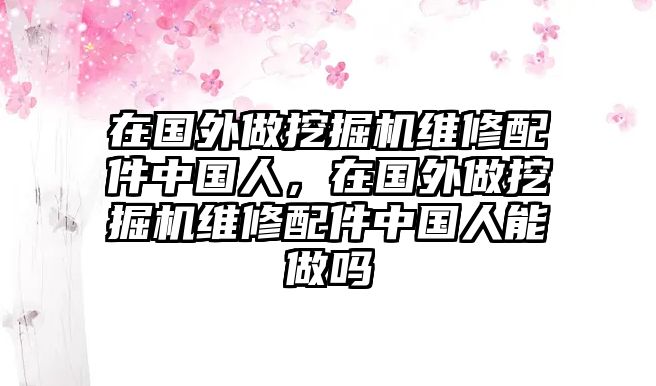 在國外做挖掘機維修配件中國人，在國外做挖掘機維修配件中國人能做嗎