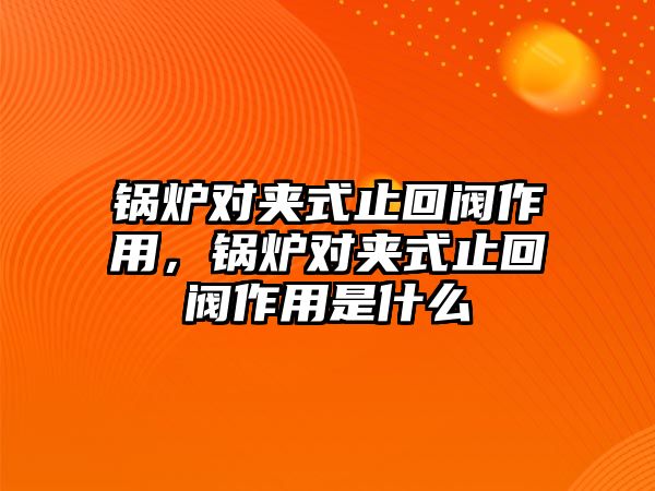 鍋爐對夾式止回閥作用，鍋爐對夾式止回閥作用是什么