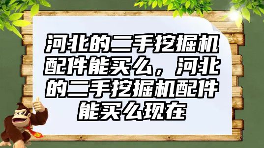 河北的二手挖掘機配件能買么，河北的二手挖掘機配件能買么現在