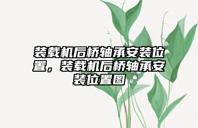 裝載機(jī)后橋軸承安裝位置，裝載機(jī)后橋軸承安裝位置圖