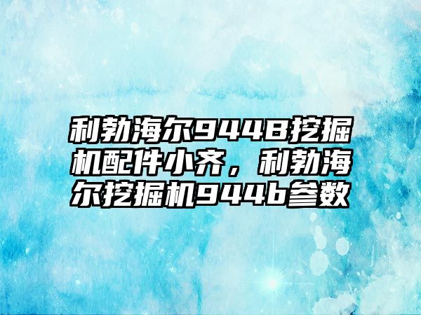 利勃海爾944B挖掘機(jī)配件小齊，利勃海爾挖掘機(jī)944b參數(shù)