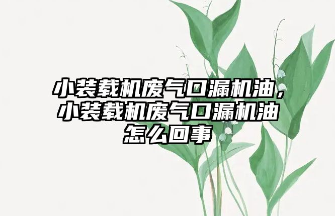 小裝載機廢氣口漏機油，小裝載機廢氣口漏機油怎么回事