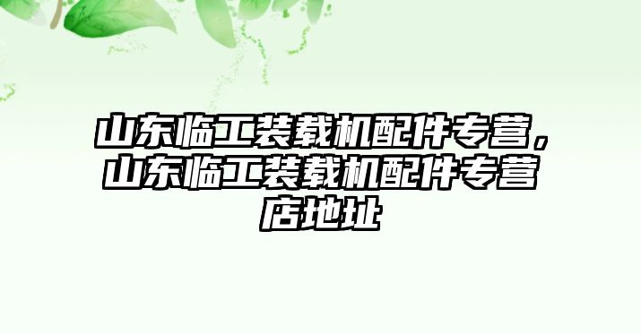 山東臨工裝載機(jī)配件專營(yíng)，山東臨工裝載機(jī)配件專營(yíng)店地址