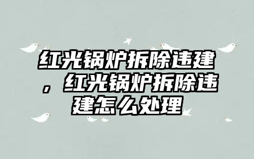 紅光鍋爐拆除違建，紅光鍋爐拆除違建怎么處理