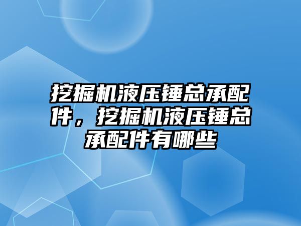 挖掘机液压锤总承配件，挖掘机液压锤总承配件有哪些