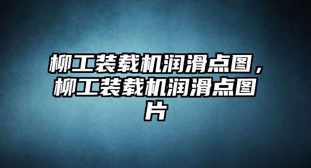 柳工装载机润滑点图，柳工装载机润滑点图片