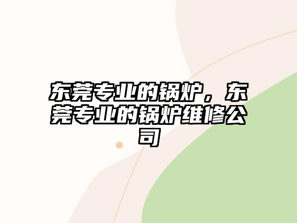 東莞專業(yè)的鍋爐，東莞專業(yè)的鍋爐維修公司