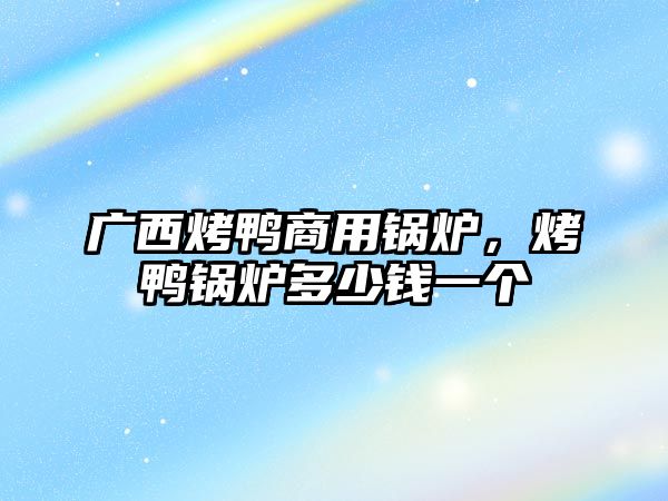 廣西烤鴨商用鍋爐，烤鴨鍋爐多少錢一個(gè)