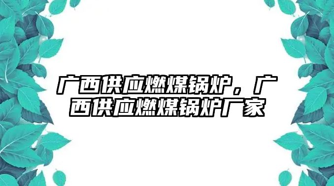 廣西供應燃煤鍋爐，廣西供應燃煤鍋爐廠家