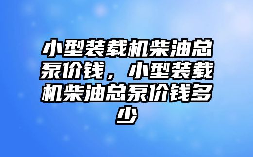 小型装载机柴油总泵价钱，小型装载机柴油总泵价钱多少