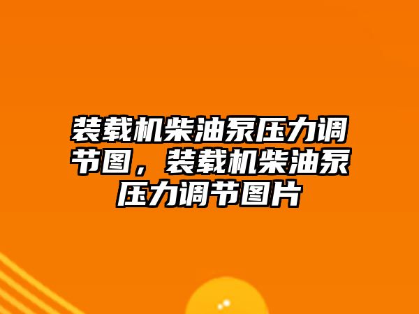 裝載機柴油泵壓力調(diào)節(jié)圖，裝載機柴油泵壓力調(diào)節(jié)圖片