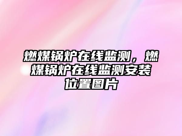 燃煤鍋爐在線監測，燃煤鍋爐在線監測安裝位置圖片