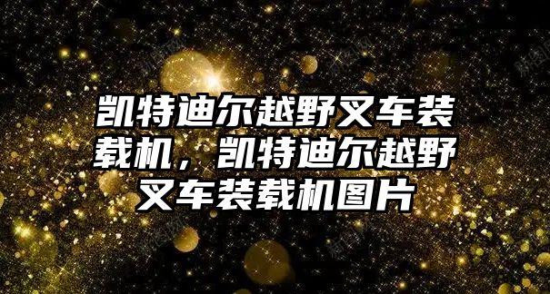 凯特迪尔越野叉车装载机，凯特迪尔越野叉车装载机图片