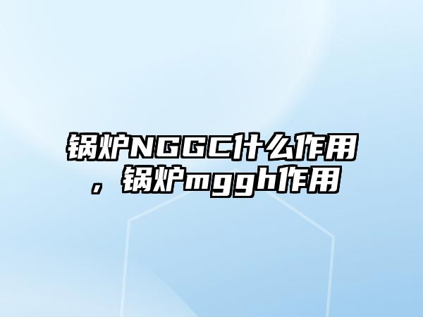 鍋爐NGGC什么作用，鍋爐mggh作用