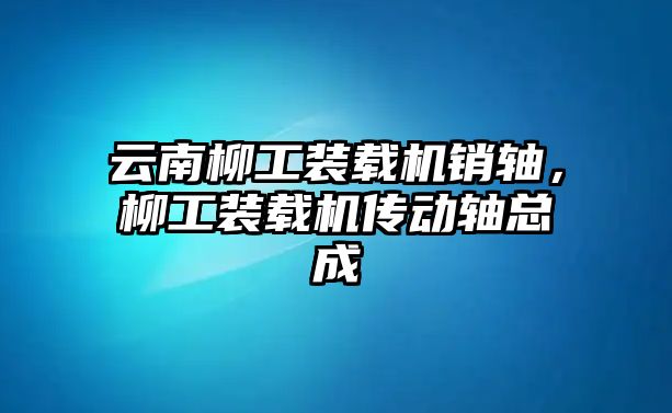 云南柳工裝載機銷軸，柳工裝載機傳動軸總成